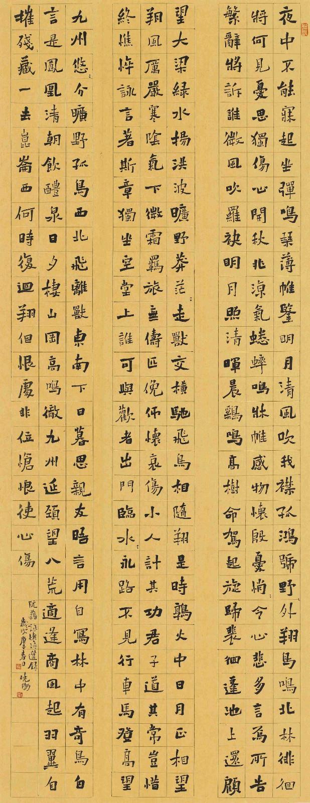張曉陽.jpg