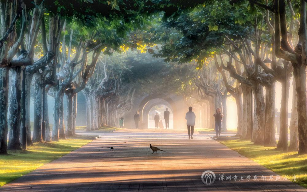 周峻《仙境宋夾城》紀錄類.jpg