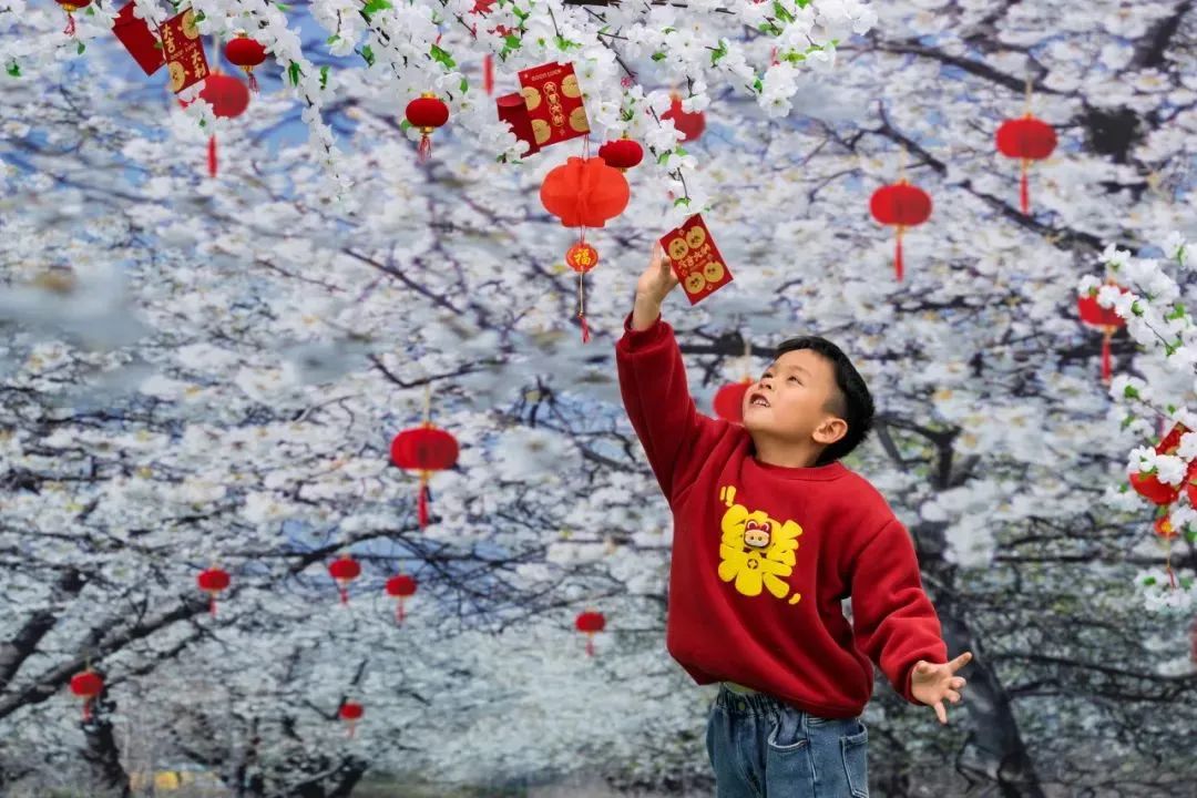 圖片