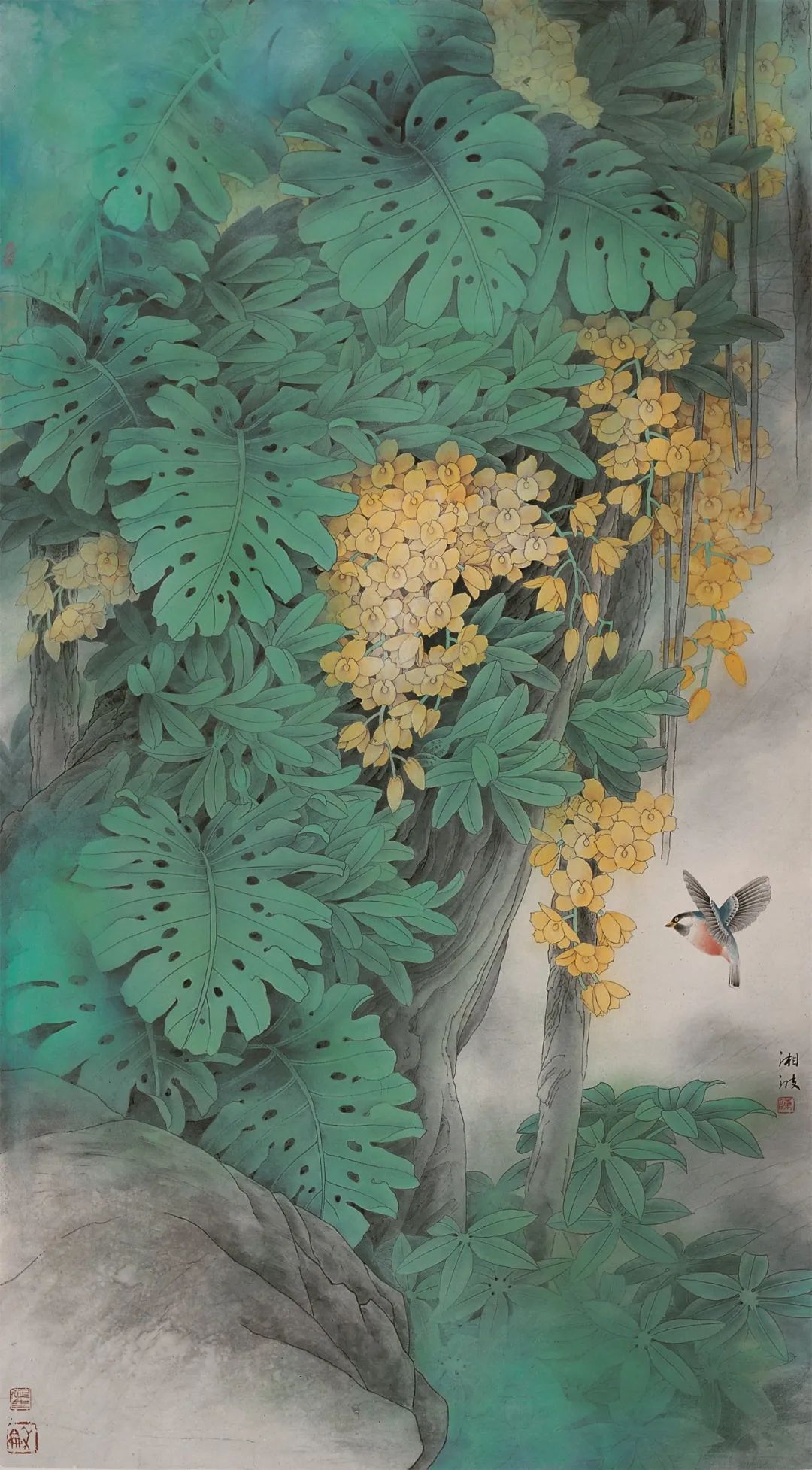 圖片